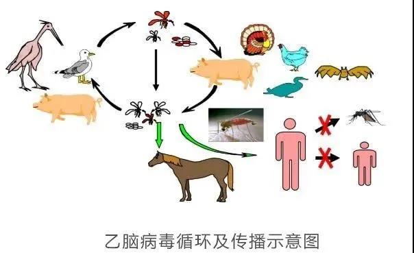 微信图片_20200924095600