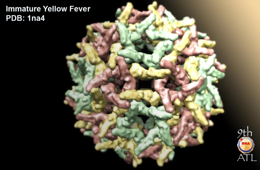 微信图片_20200924095609