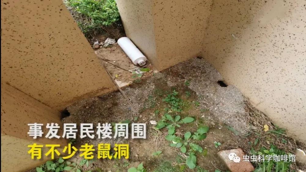 微信图片_20201013102046