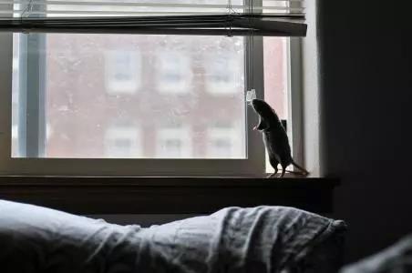 微信图片_20201013102108