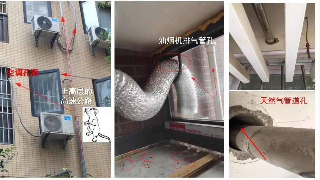 微信图片_20201013102117