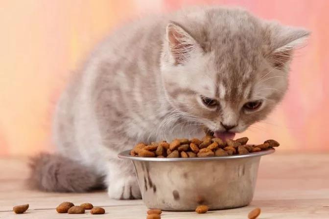 微信图片_20201013102138