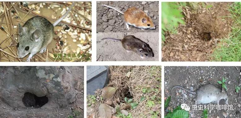 微信图片_20201013102149