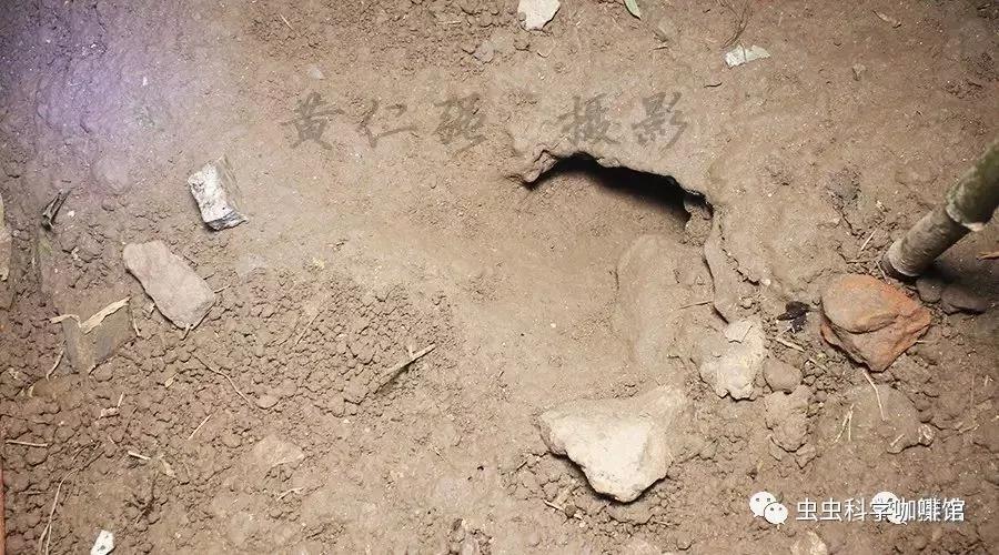 微信图片_20201013102153