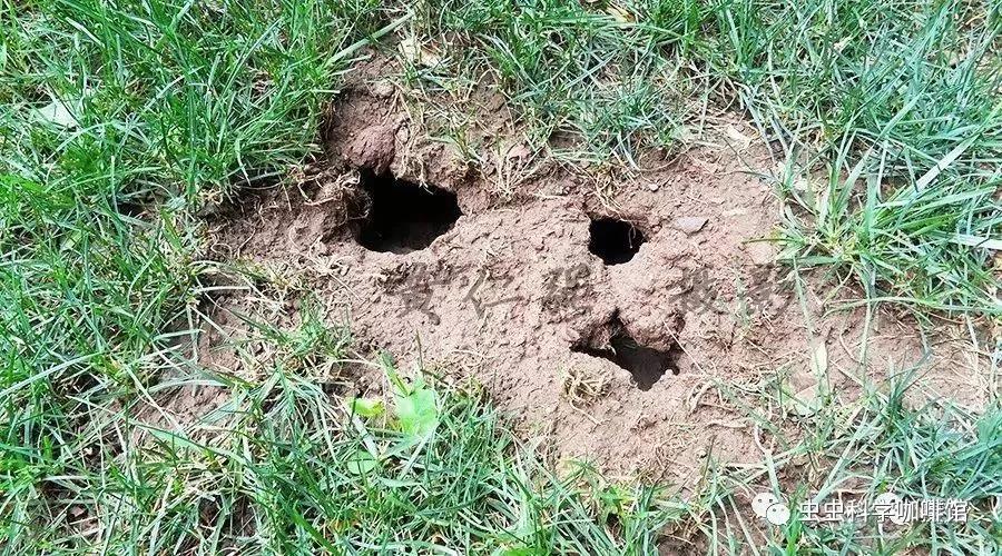 微信图片_20201013102158