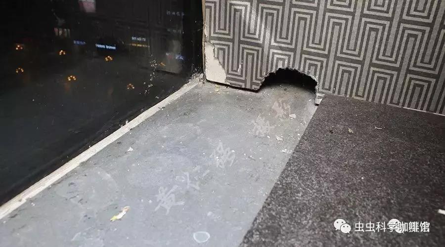 微信图片_20201013102203