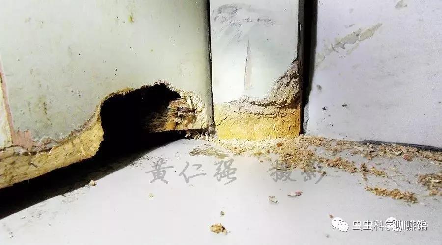 微信图片_20201013102207