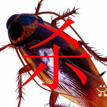 上海歡潔有害生物防治有限公司
