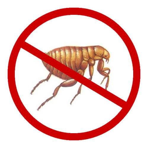 上海歡潔有害生物防治有限公司